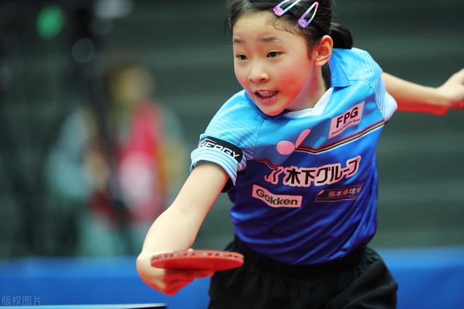 多伦多蓝鸟 多伦多蓝鸟